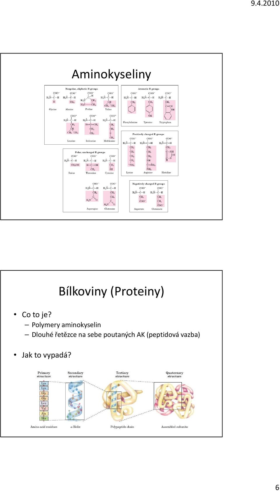 Polymery aminokyselin Dlouhé