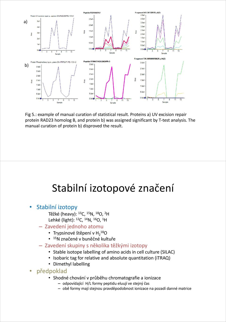 Stabilní izotopové značení Stabilní izotopy Těžké (heavy): 13 C, 15 N, 18 O, 2 H Lehké (light): 12 C, 14 N, 16 O, 1 H Zavedení jednoho atomu Trypsinové štěpení v H 2 18 O 15 N značené v buněčné