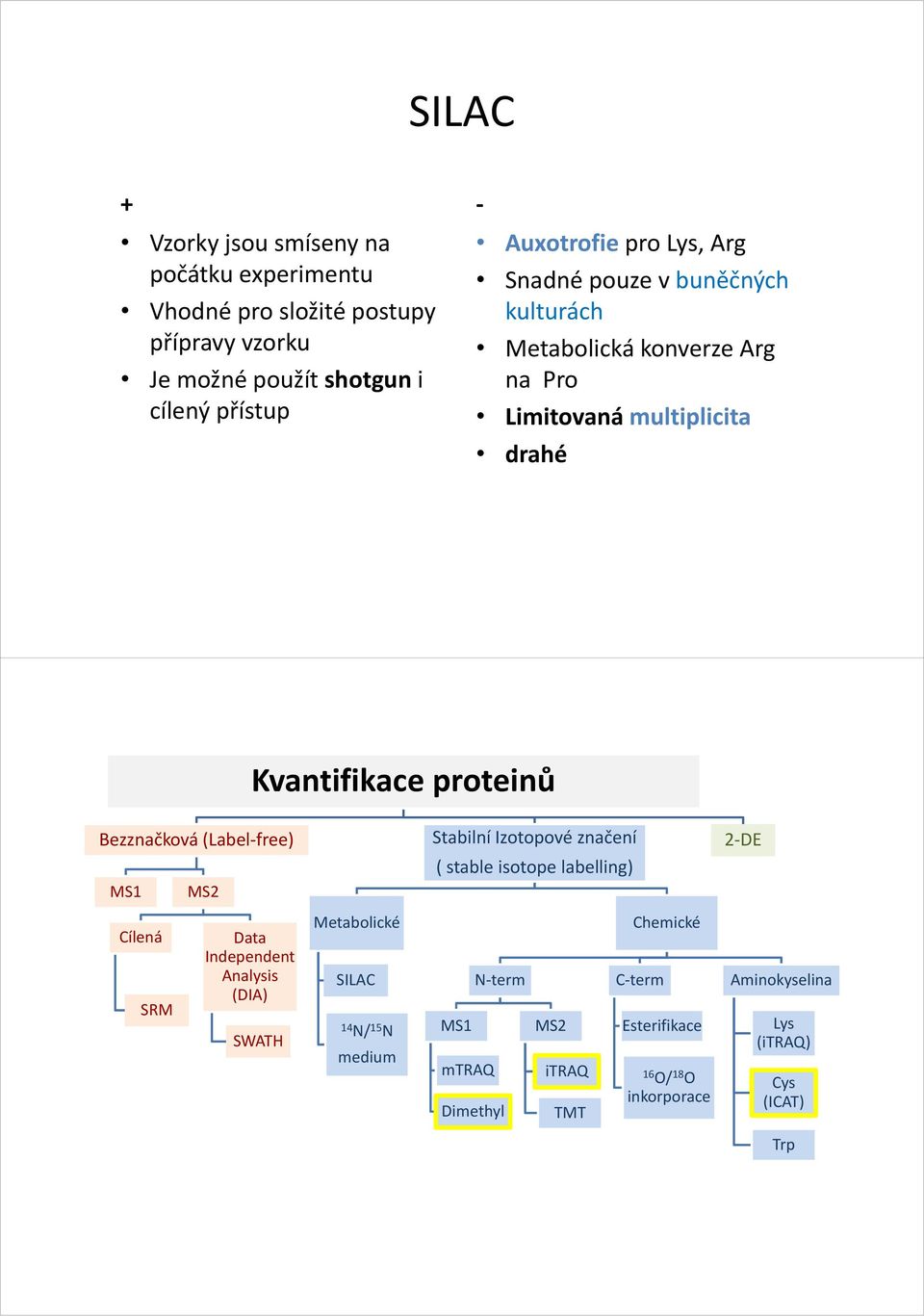 (Labelfree) MS1 MS2 Stabilní Izotopové značení ( stable isotope labelling) 2DE Cílená SRM Data Independent Analysis (DIA) SWATH Metabolické SILAC
