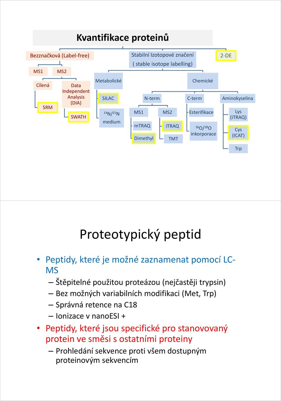 Proteotypický peptid Peptidy, které je možné zaznamenat pomocí LC MS Štěpitelné použitou proteázou (nejčastěji trypsin) Bez možných variabilních modifikaci (Met, Trp)