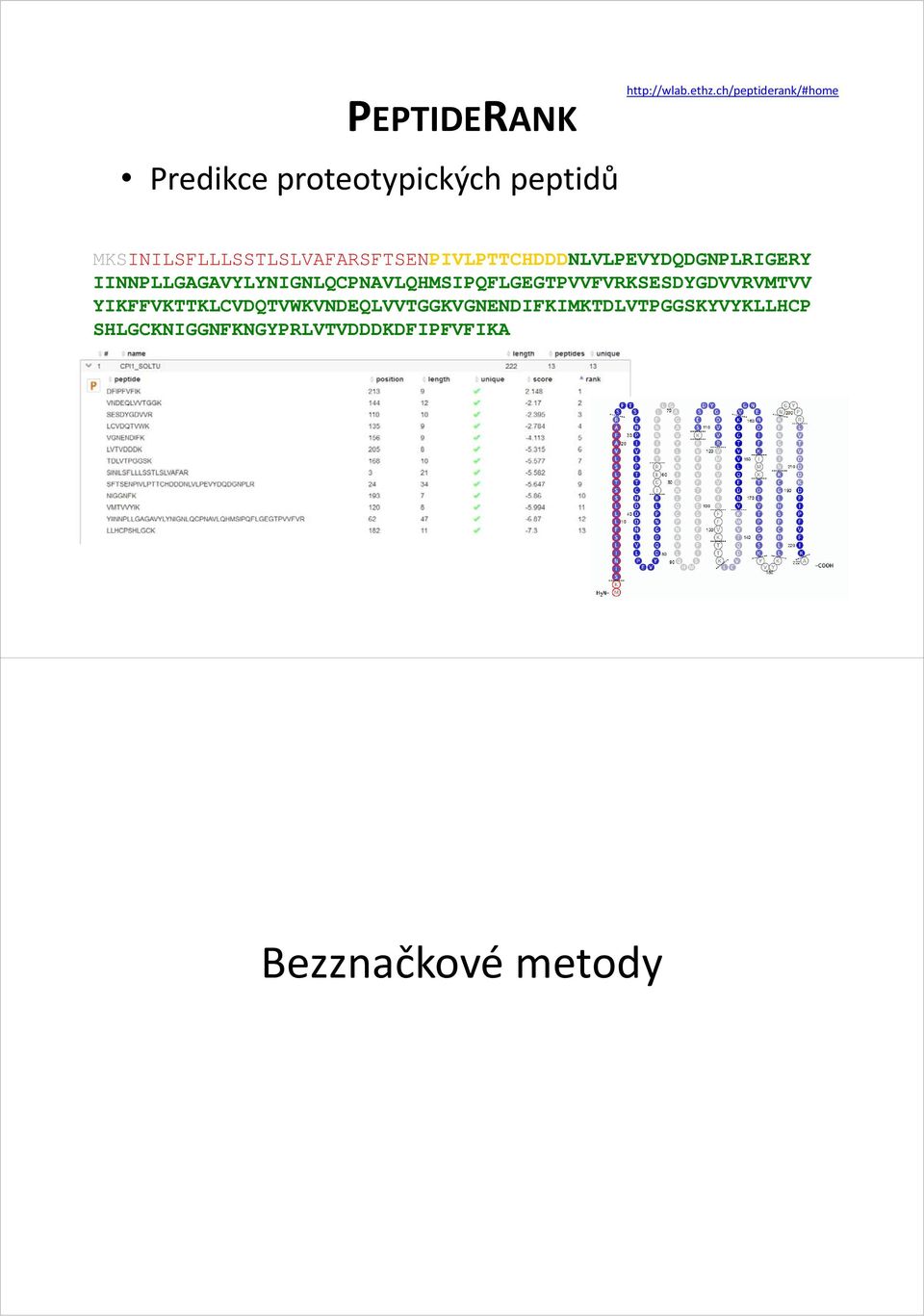 MKSINILSFLLLSSTLSLVAFARSFTSENPIVLPTTCHDDDNLVLPEVYDQDGNPLRIGERY