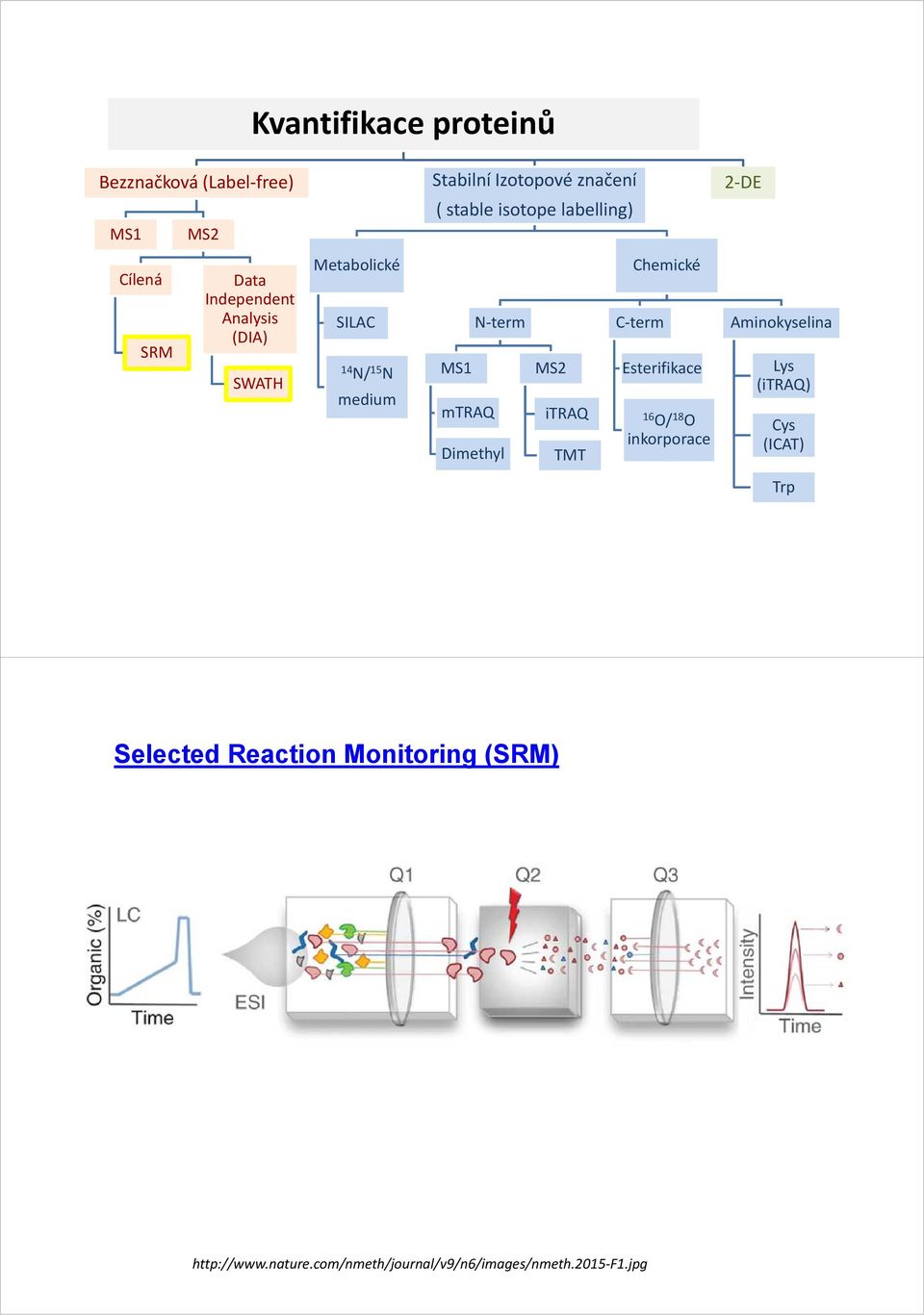 mtraq Nterm Dimethyl MS2 itraq TMT Chemické Cterm Esterifikace 16 O/ 18 O inkorporace Aminokyselina Lys
