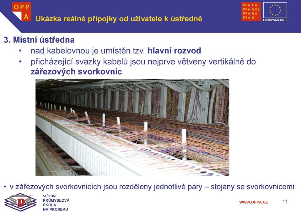 hlavní rozvod přicházející svazky kabelů jsou nejprve větveny