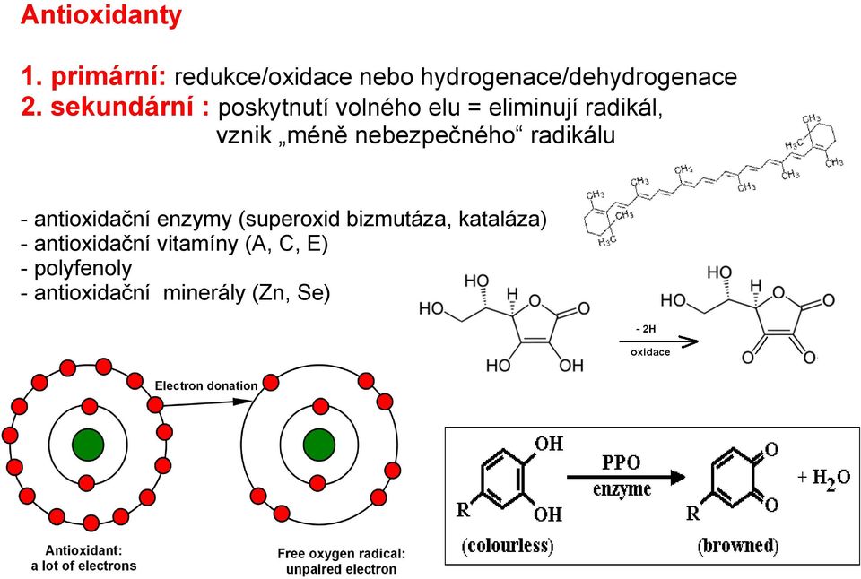 nebezpečného radikálu - antioxidační enzymy (superoxid bizmutáza,