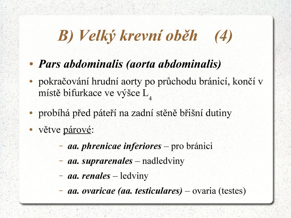 na zadní stěně břišní dutiny větve párové: aa. phrenicae inferiores pro bránici aa.