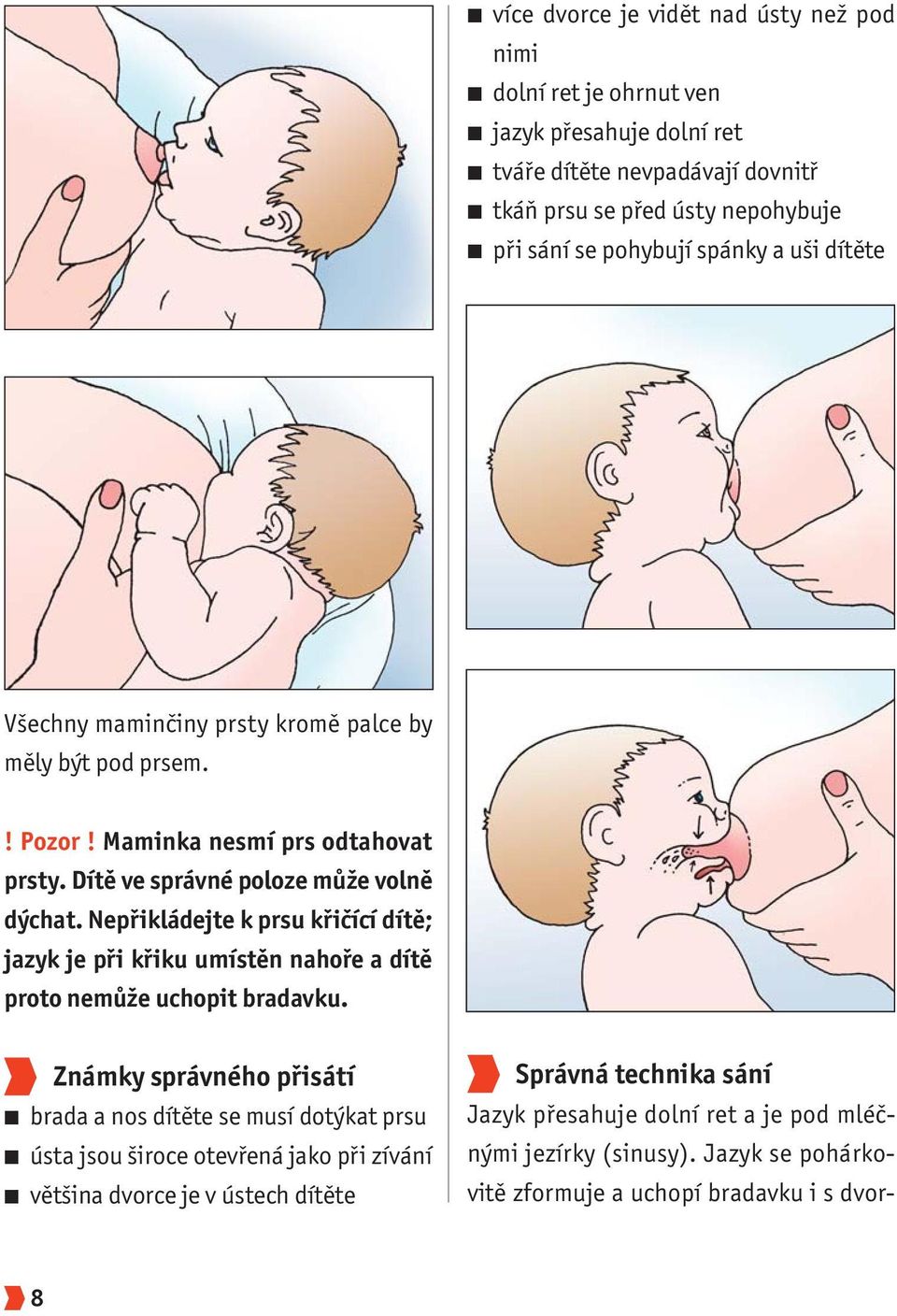 Nepřikládejte k prsu křičící dítě; jazyk je při křiku umístěn nahoře a dítě proto nemůže uchopit bradavku.
