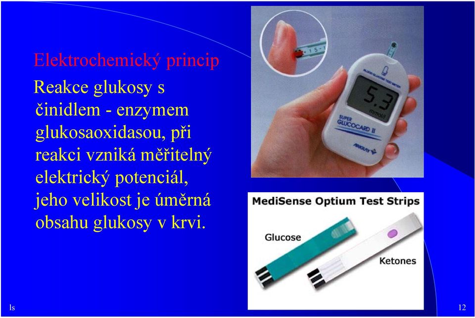 reakci vzniká měřitelný elektrický