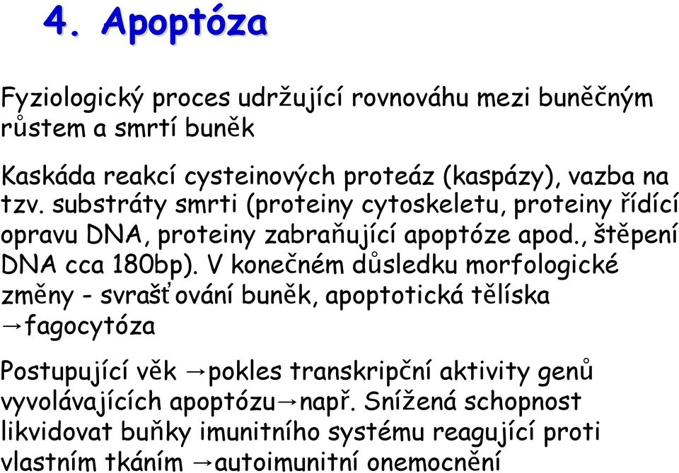 , štěpení DNA cca 180bp).