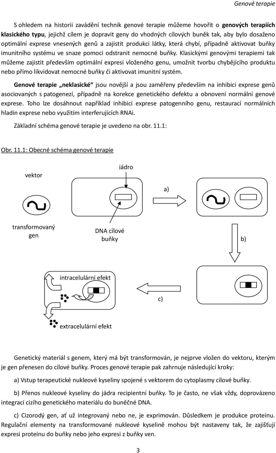 Klasickými genovými terapiemi tak můžeme zajistit především optimální expresi vloženého genu, umožnit tvorbu chybějícího produktu nebo přímo likvidovat nemocné buňky či aktivovat imunitní systém.