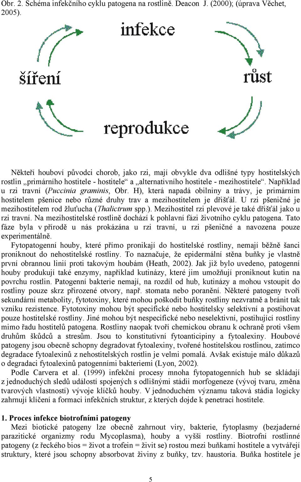Například u rzi travní (Puccinia graminis, Obr. H), která napadá obilniny a trávy, je primárním hostitelem pšenice nebo různé druhy trav a mezihostitelem je dřišťál.