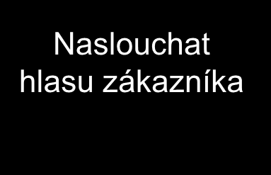 Určit problém a plán projektu Mapovat současný proces Naslouchat hlasu zákazníka Výstup Porozumění plánovanému zlepšení a způsobu, jakým bude prováděno měření.