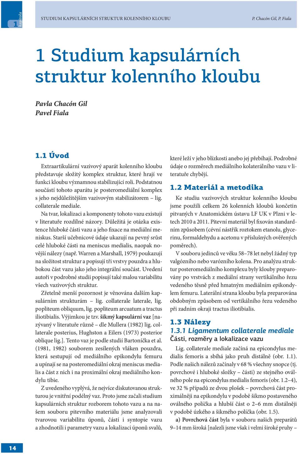 Podstatnou součástí tohoto aparátu je posteromediální komplex s jeho nejdůležitějším vazivovým stabilizátorem lig. collaterale mediale.