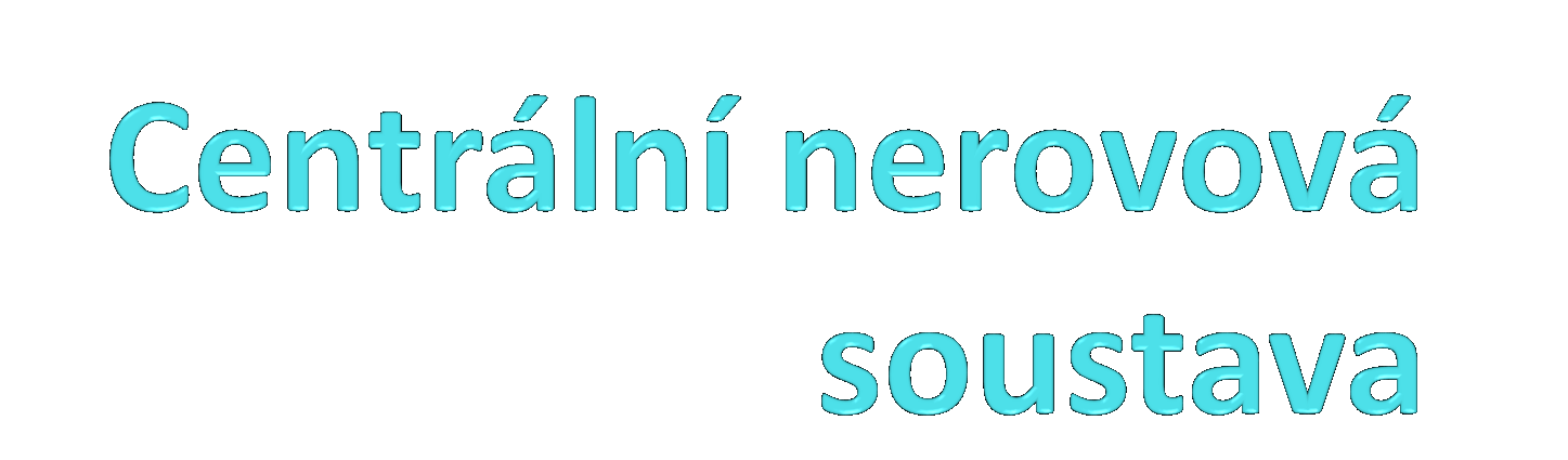 Úvod do