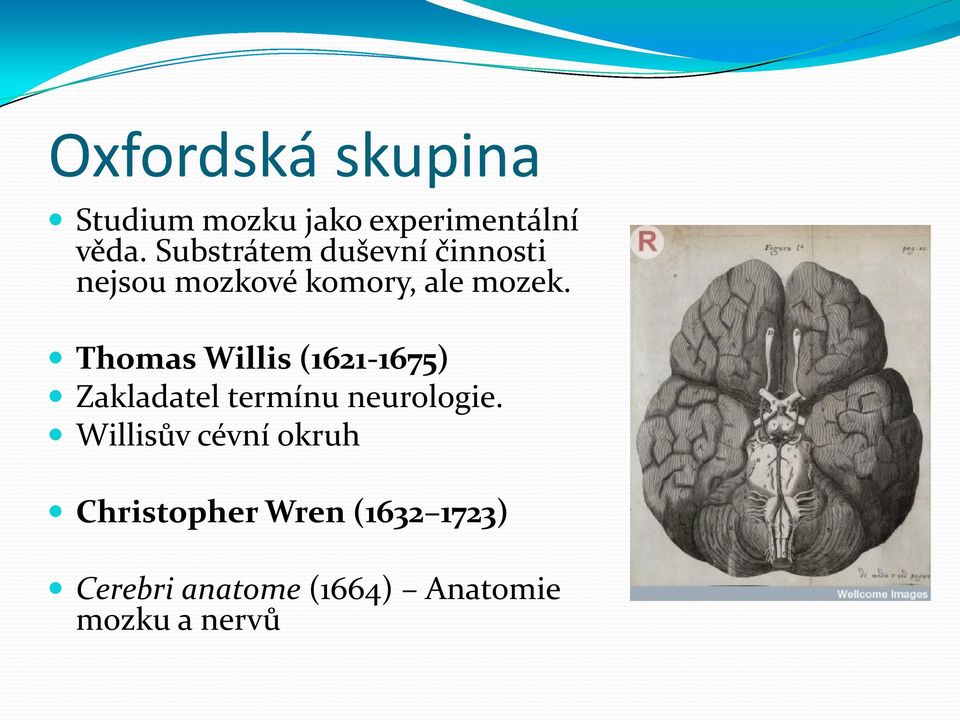 Thomas Willis (1621-1675) Zakladatel termínu neurologie.