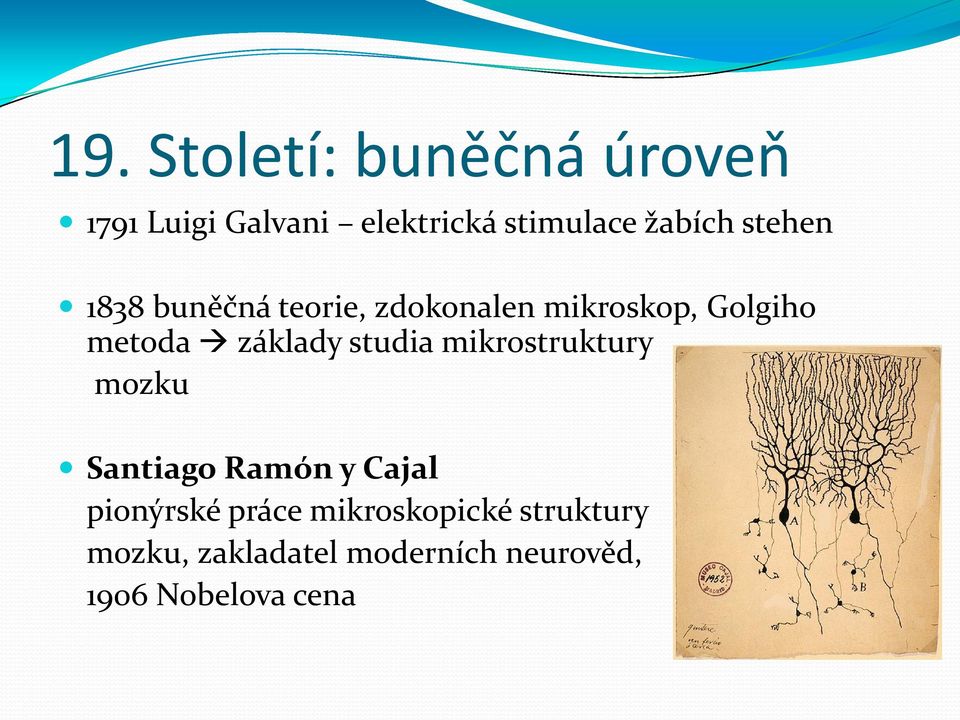 základy studia mikrostruktury mozku Santiago Ramón y Cajal pionýrské