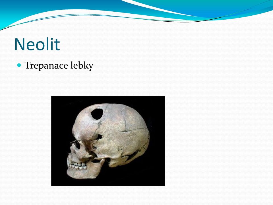lebky