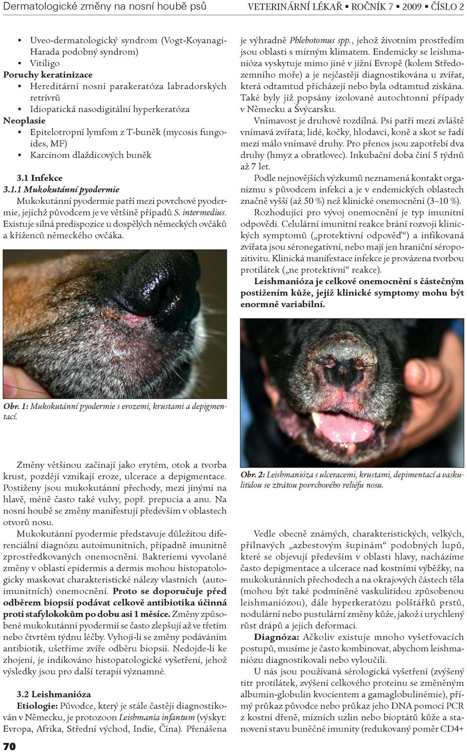 Infekce 3.1.1 Mukokutánní pyodermie Mukokutánní pyodermie patøí mezi povrchové pyodermie, jejichž pùvodcem je ve vìtšinì pøípadù S. intermedius.