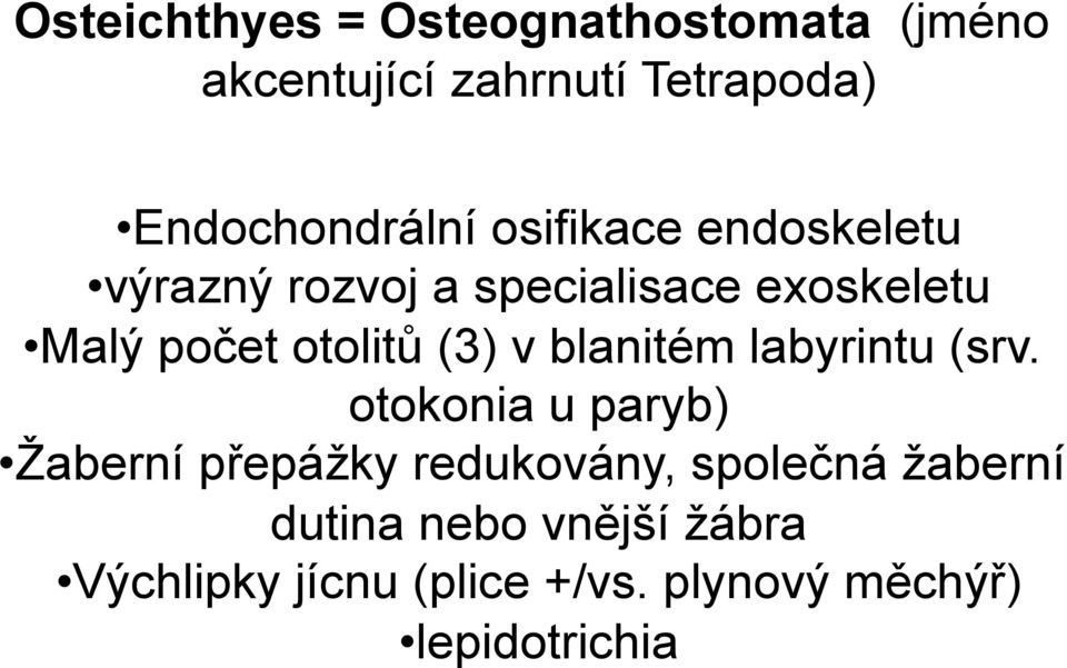 po%et otolit' (3) v blanitém labyrintu (srv. otokonia u paryb) )aberní p!