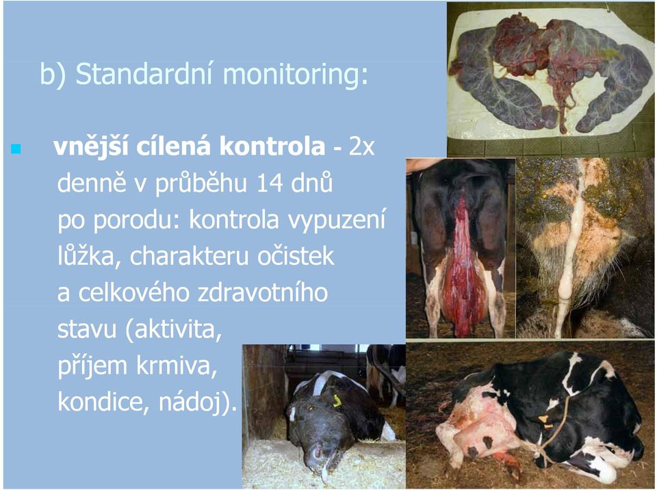vypuzení lůžka, charakteru očistekč a celkového