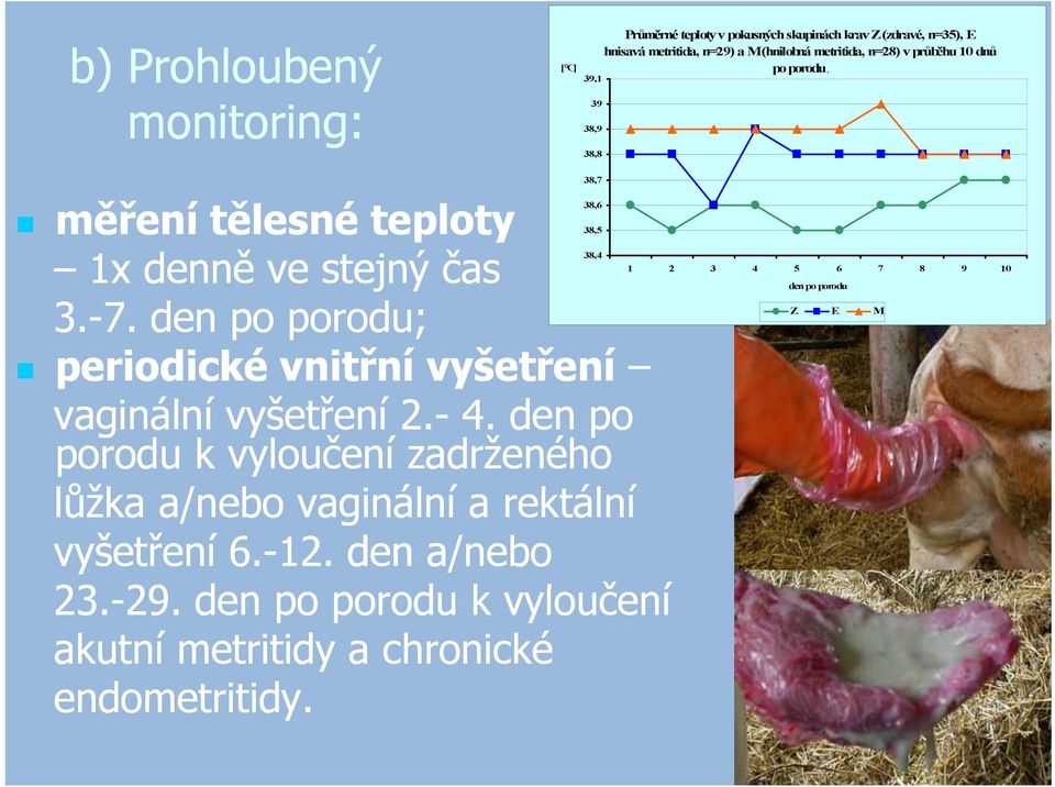 den po porodu; periodické vnitřní vyšetření vaginální vyšetření 2.- 4.