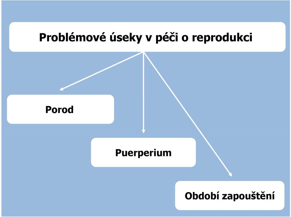 reprodukci Porod