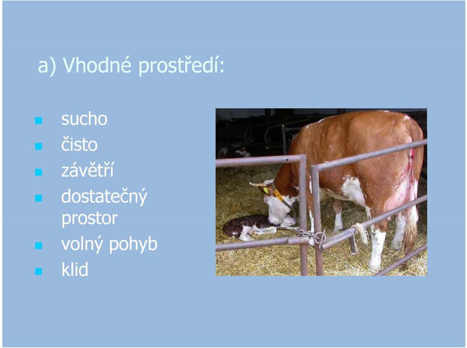 čisto závětří