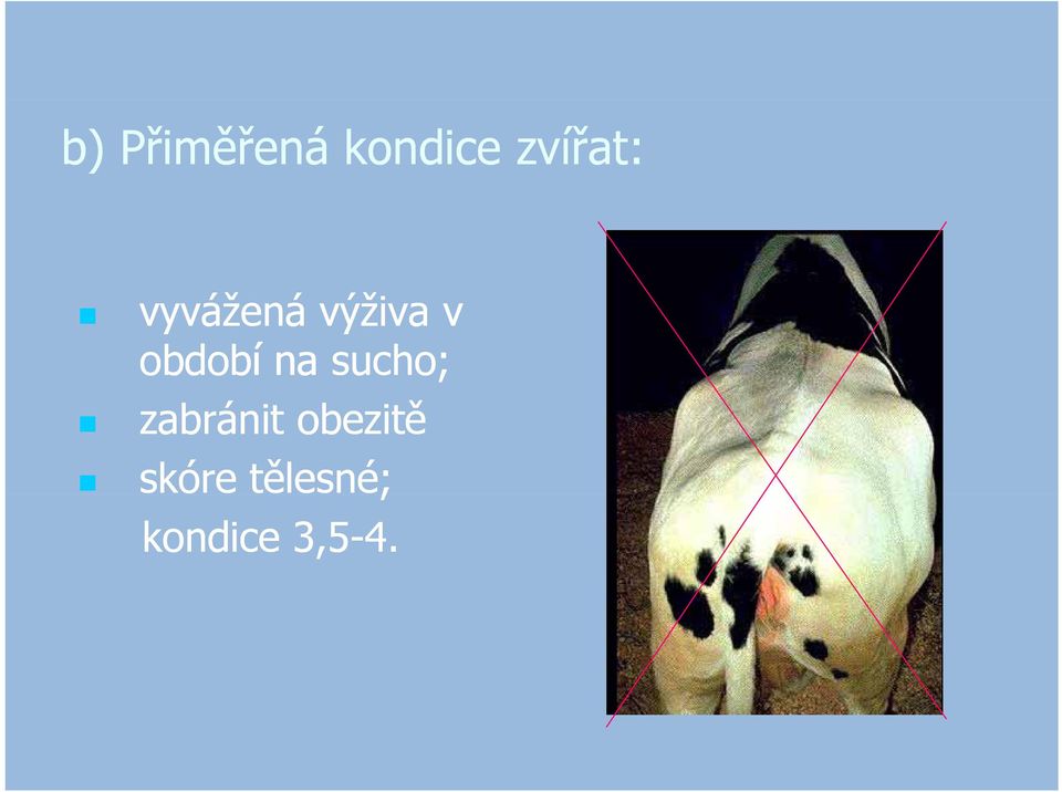 období na sucho; zabránit