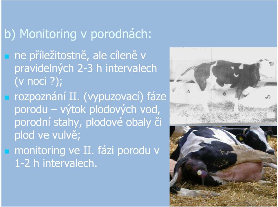 (vypuzovací) fáze porodu výtok plodových vod, porodní stahy,