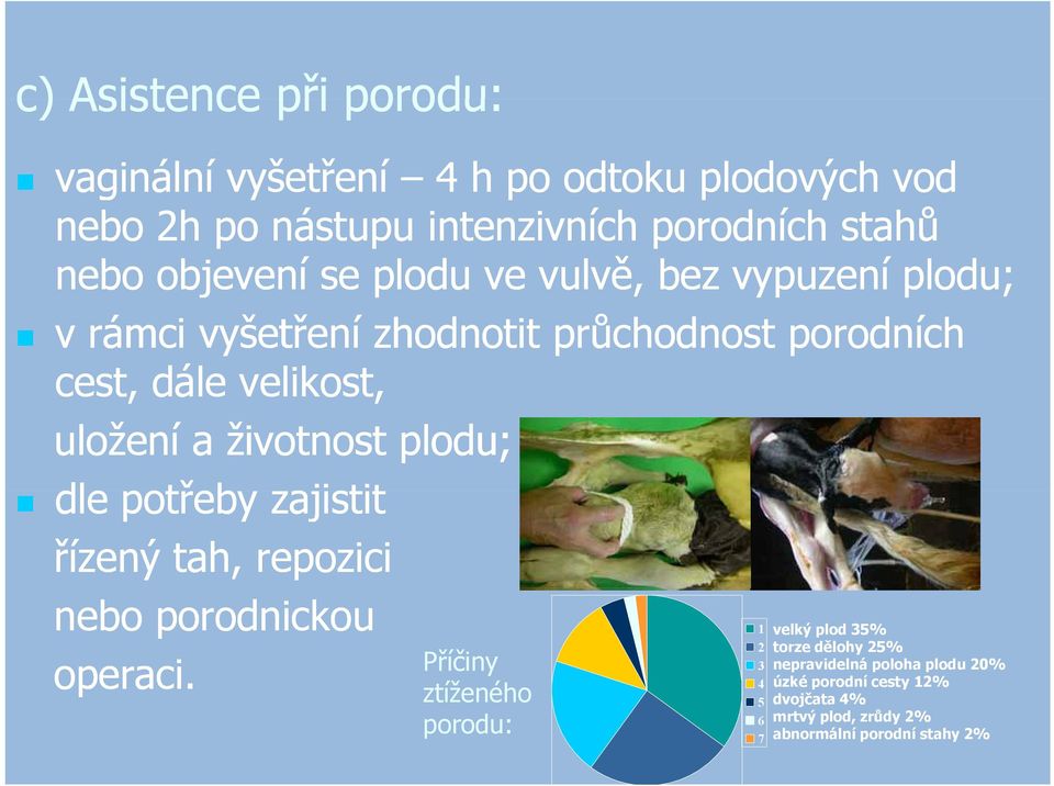 životnost plodu; dle potřeby zajistit řízený tah, repozici nebo porodnickou Příčiny ztíženého porodu: operaci.