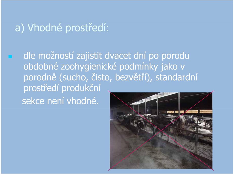 podmínky jako v porodně (sucho, čisto,