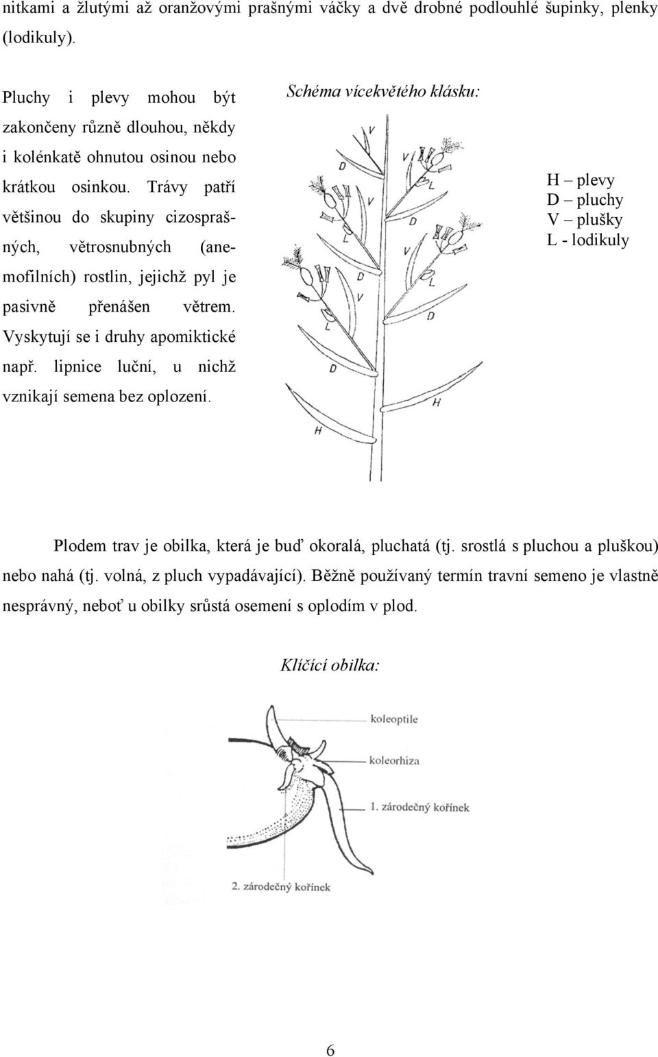 Agrostis Trávníky, s.r.o. KAPESNÍ ATLAS TRAV. Metodická pomůcka k určování  trav - PDF Free Download