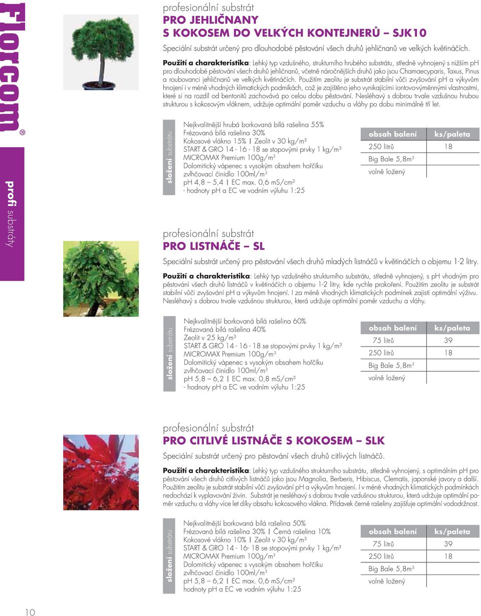 Chamaecyparis, Taxus, Pinus a roubovanci jehličnanů ve velkých květináčích.