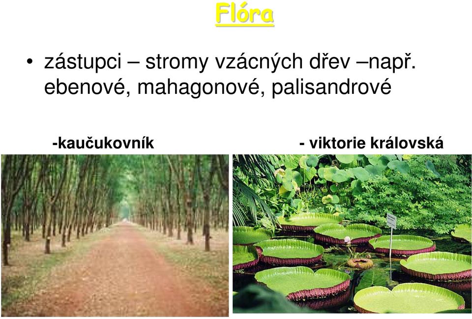 ebenové, mahagonové,