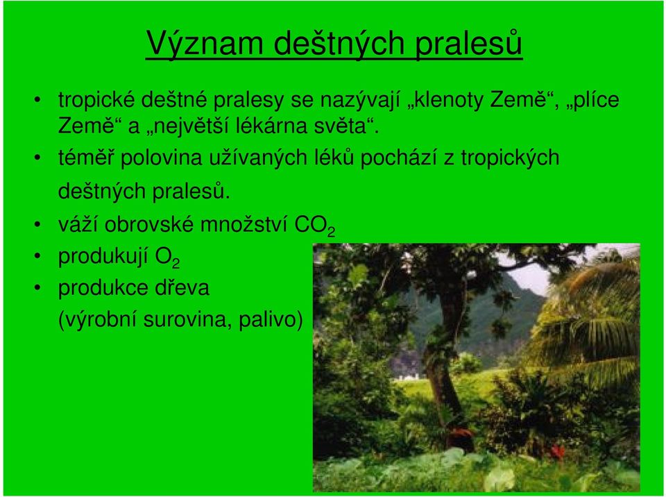 téměř polovina užívaných léků pochází z tropických deštných