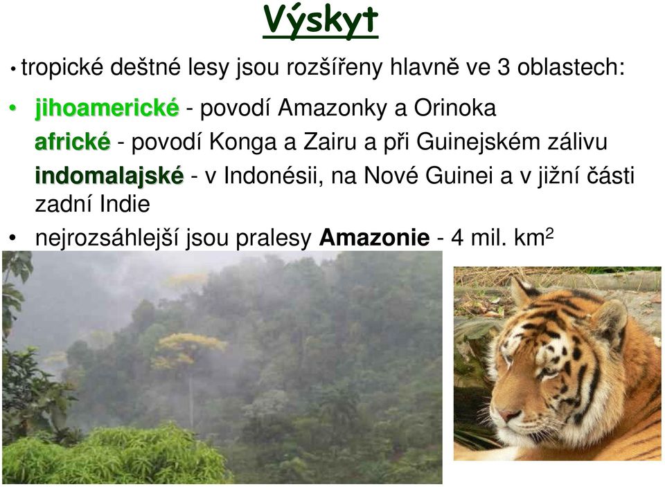 Zairu a při Guinejském zálivu indomalajské - v Indonésii, na Nové