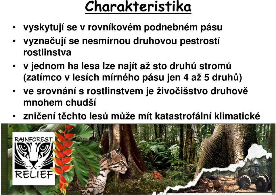 (zatímco v lesích mírného pásu jen 4 až 5 druhů) ve srovnání s rostlinstvem je