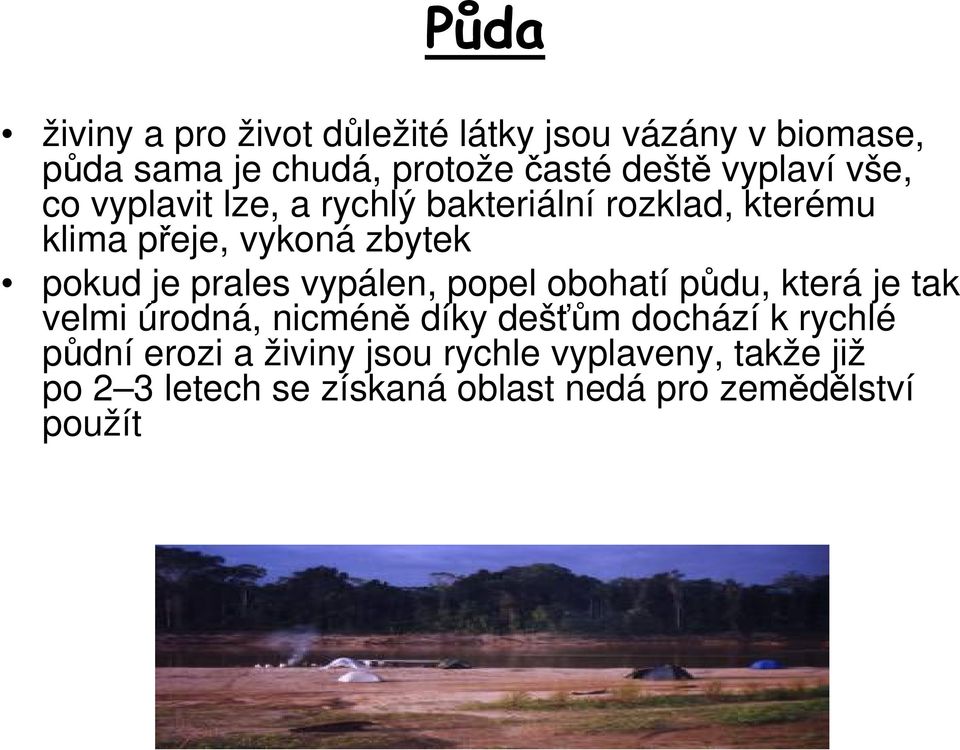 prales vypálen, popel obohatí půdu, která je tak velmi úrodná, nicméně díky dešťům dochází k rychlé