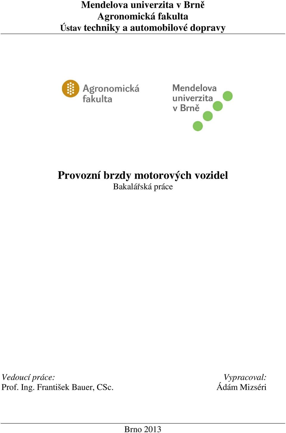 motorových vozidel Bakalářská práce Vedoucí práce: