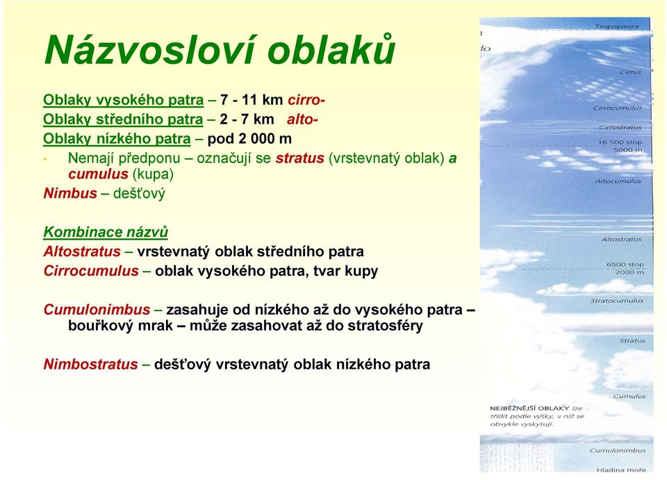 Altostratus vrstevnatý oblak středního patra Cirrocumulus oblak vysokého patra, tvar kupy Cumulonimbus zasahuje od