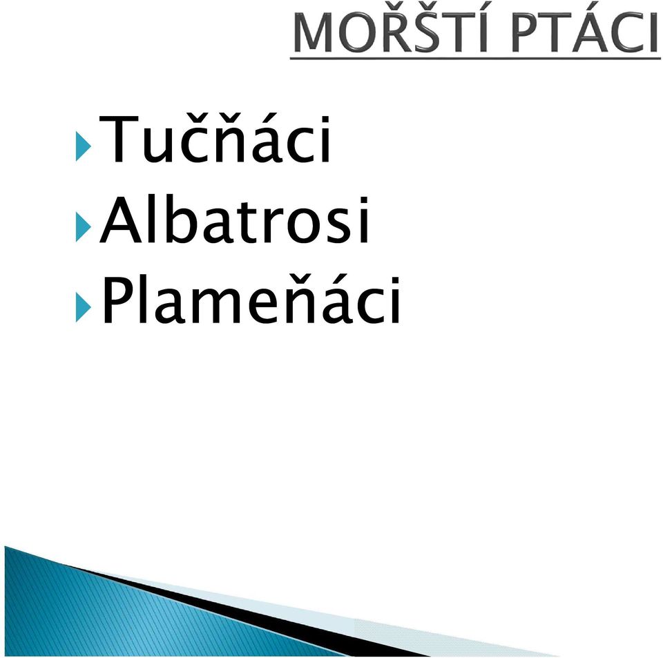 Plameňáci
