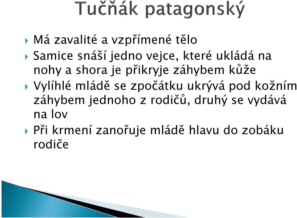se zpočátku ukrývá pod kožním záhybem jednoho z rodičů, druhý