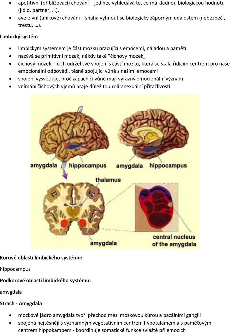 Limbický systém limbickým systémem je část mozku pracující s emocemi, náladou a pamětí nazývá se primitivní mozek, někdy také "čichový mozek čichový mozek - čich udržel své spojení s částí mozku,