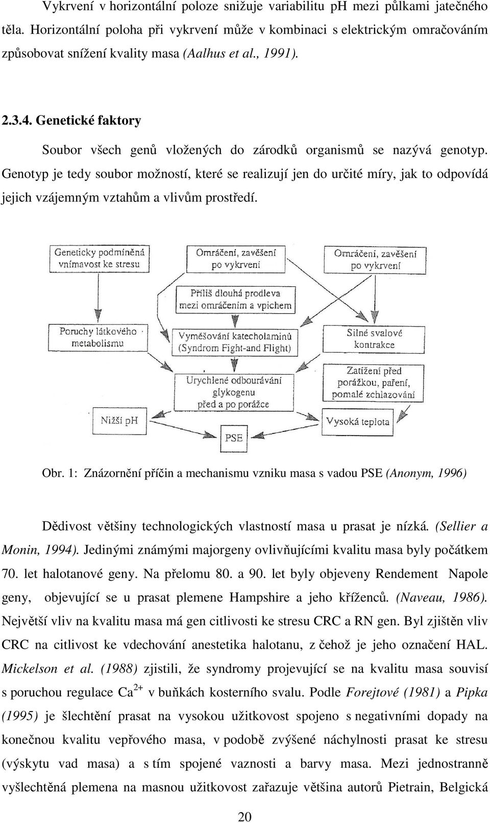 Genetické faktory Soubor všech genů vložených do zárodků organismů se nazývá genotyp.
