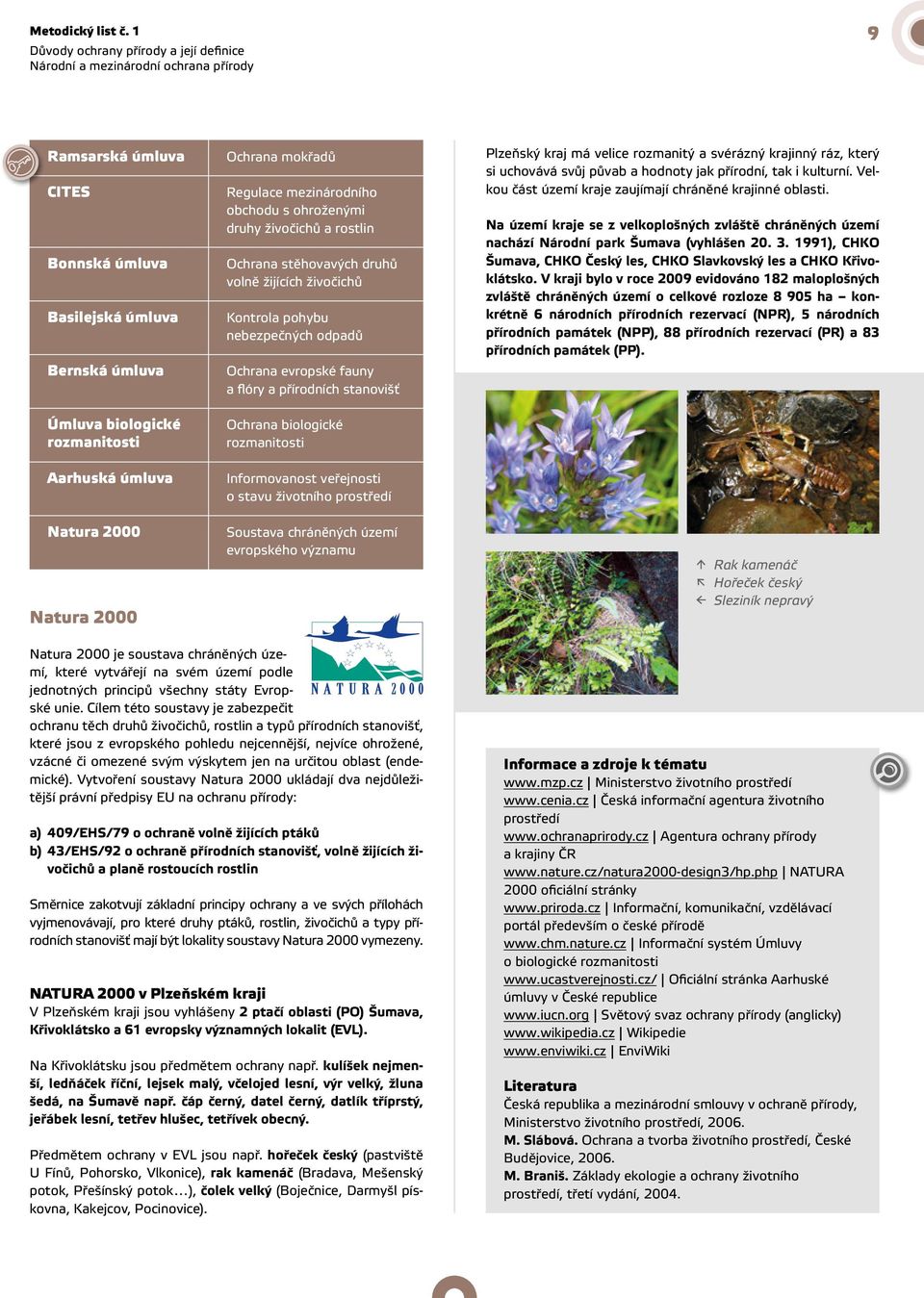 Natura 2000 Natura 2000 Ochrana mokřadů Regulace mezinárodního obchodu s ohroženými druhy živočichů a rostlin Ochrana stěhovavých druhů volně žijících živočichů Kontrola pohybu nebezpečných odpadů