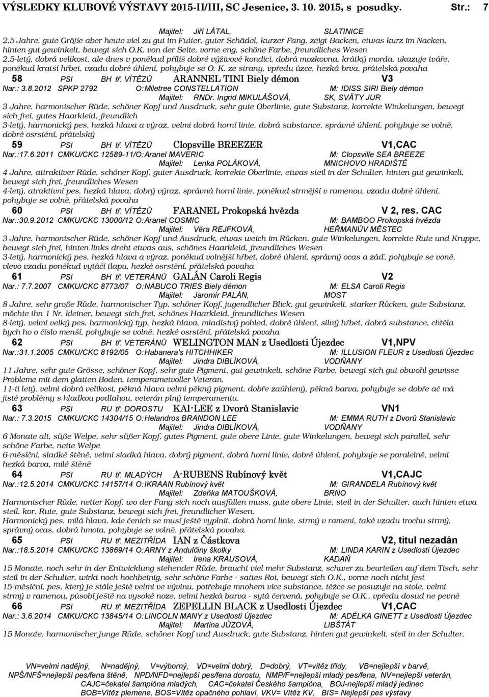 von der Seite, vorne eng, schöne Farbe, freundliches Wesen 2,5-letý, dobrá velikost, ale dnes v poněkud příliš dobré výživové kondici, dobrá mozkovna, krátký morda, ukazuje tváře, poněkud kratší