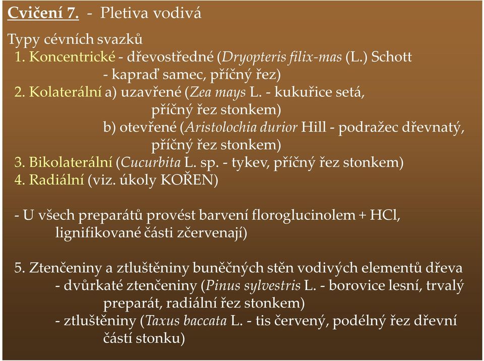 Radiální (viz. úkoly KOŘEN) - U všech preparátů provést barvení floroglucinolem + HCl, lignifikované části zčervenají) 5.