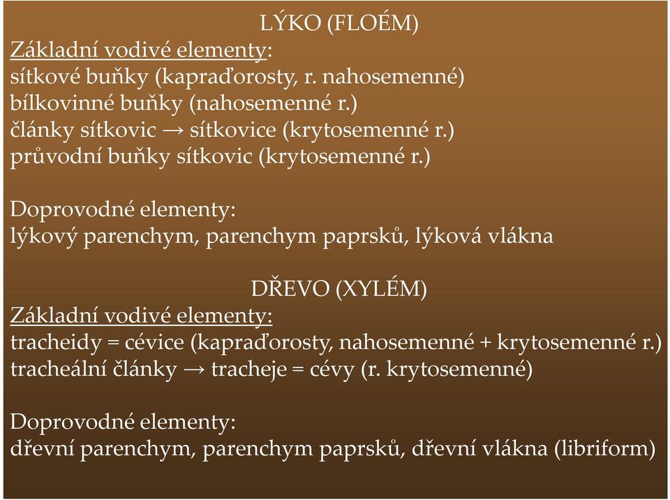 ) Doprovodné elementy: lýkový parenchym, parenchym paprsků, lýková vlákna DŘEVO (XYLÉM) Základní vodivé elementy: tracheidy =