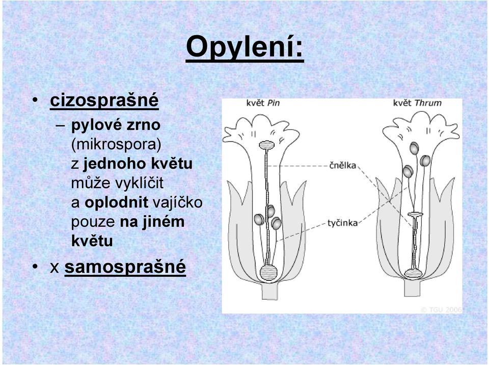 může vyklíčit a oplodnit vajíčko