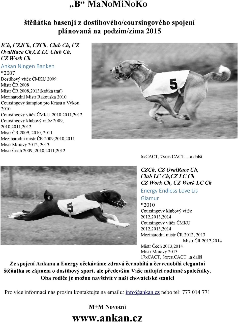 vítěz 2009, 2010,2011,2012 Mistr ČR 2009, 2010, 2011 Mezinárodní mistr ČR 2009,2010,2011 Mistr Moravy 2012, 2013 Mistr Čech 2009, 2010,2011,2012 6xCACT,