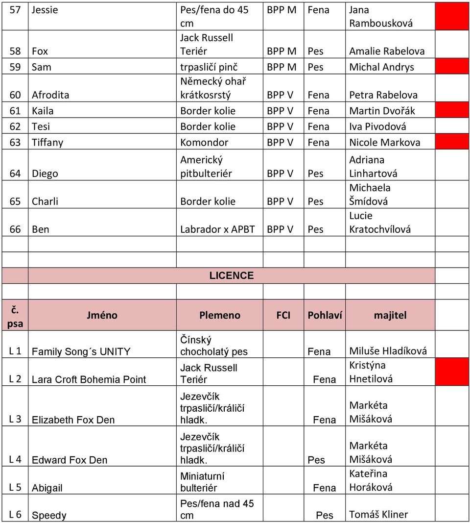 Border kolie BPP V Pes 66 Ben Labrador x APBT BPP V Pes Adriana Linhartová Michaela Šmídová Lucie Kratochvílová LICENCE č.